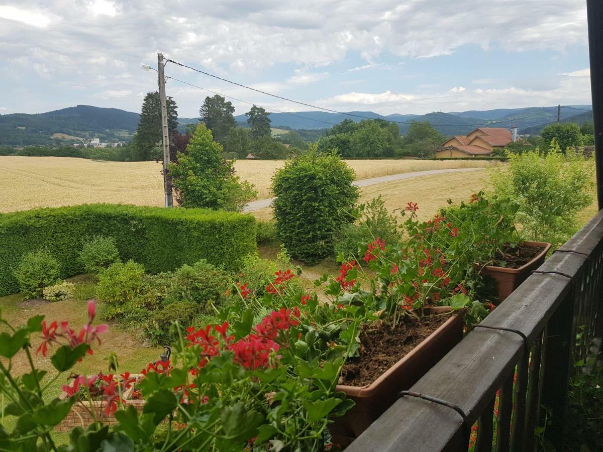 Le Clos Des Aulnes Anould Екстер'єр фото